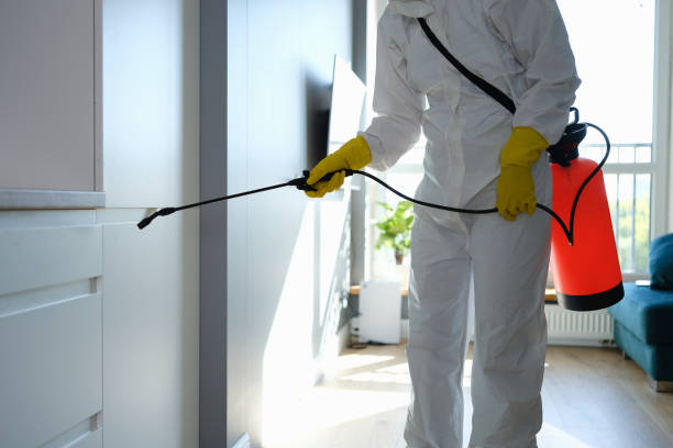 Office Mold Removal Services in Etowah, TN