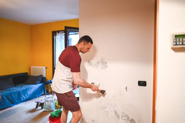 Best Emergency Mold Removal  in Etowah, TN